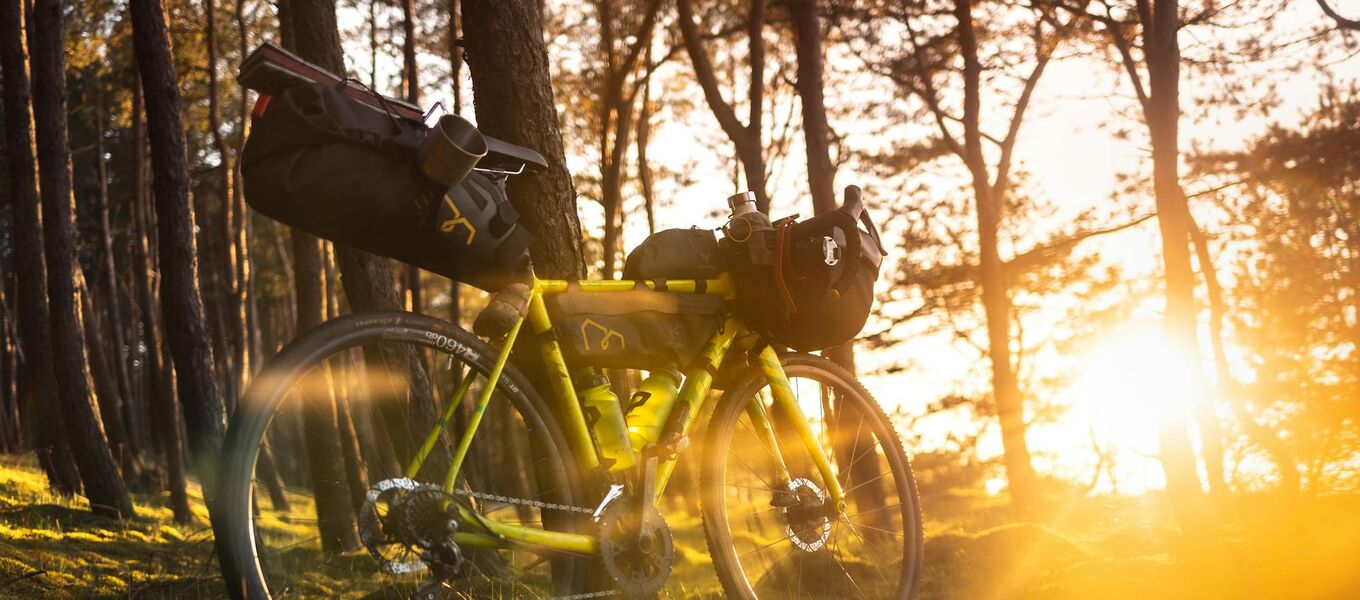 Spakowany rower w lesie oparty o drzewo