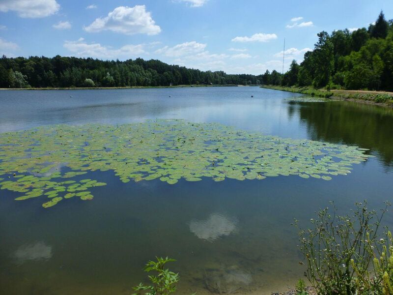 Kąpielisko Wesoła Fala w Mysłowicach