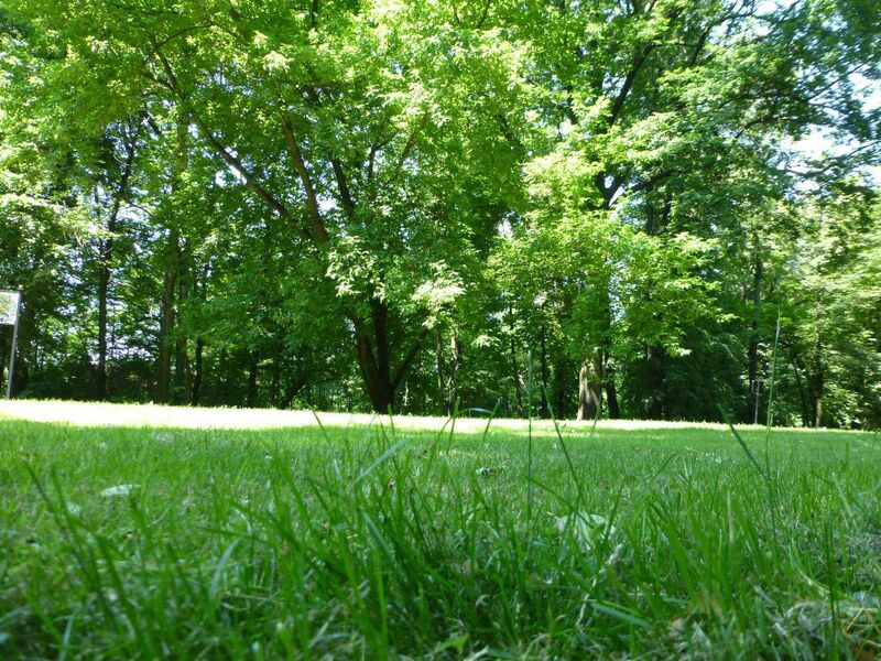 Park w Przyszowicach