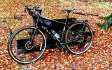 Rower stojący w lesie